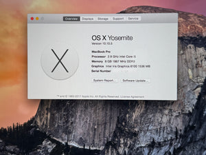 OS X Yosemite system information window on a MacBook Pro with a mountainous background