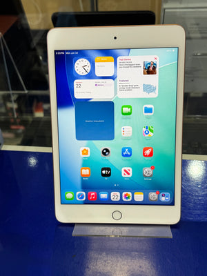 iPad Mini 5 64GB WiFi