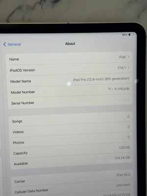 A close up on an Apple iPad "About" menu showing. 
