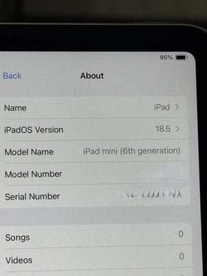 A close-up of an iPad screen showing the 'About' screen with details including 'Name: iPad', 'iPadOS Version: 18.5', and 'Model Name: iPad mini (6th generation)'.