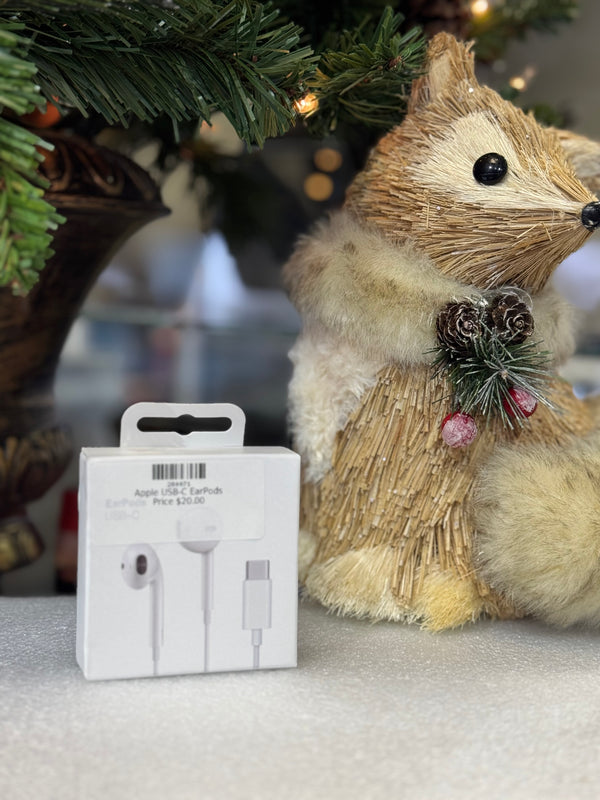 Apple USB-C EarPods