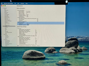 Computer screen displaying system information with a scenic background of rocks and water.