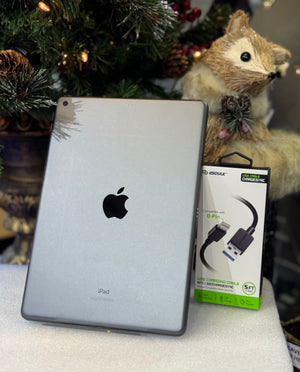 iPad 8th Gen 32GB WIFI