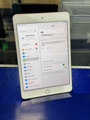 iPad Mini 5 64GB WiFi