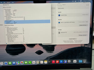 Computer screen displaying system information on a MacBook Pro
