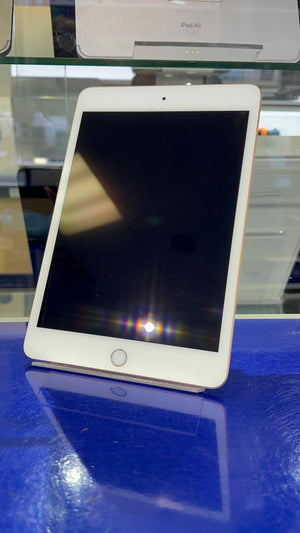iPad Mini 5 64GB WiFi